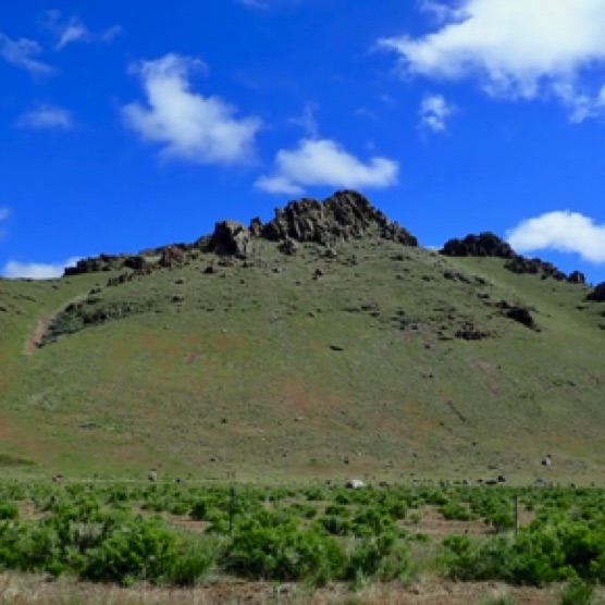 Along the road to Idaho